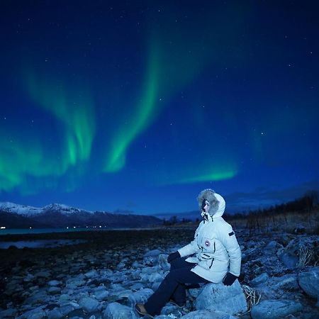 Arctic Rooms Rektor Tromsø Exteriör bild