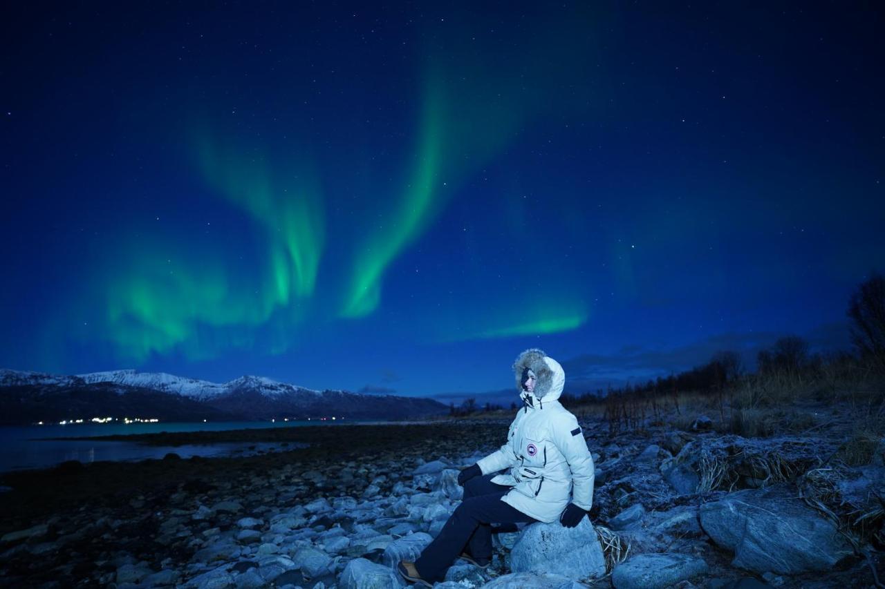 Arctic Rooms Rektor Tromsø Exteriör bild